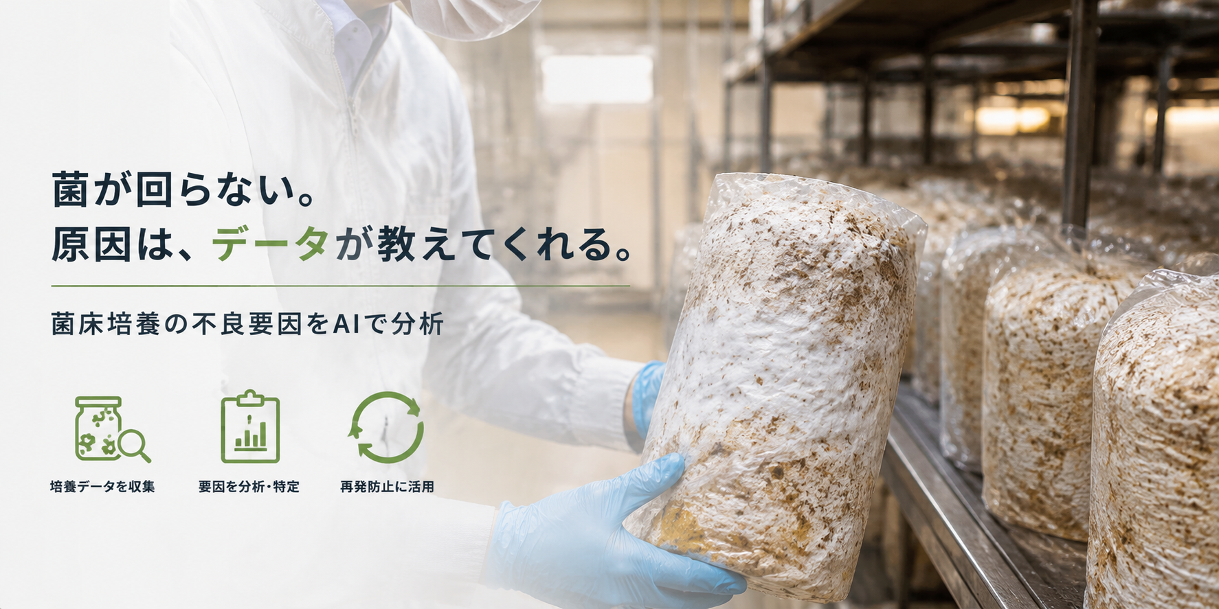 菌が回らない。その原因はどこにある?菌床培養不良の要因をAIで分析